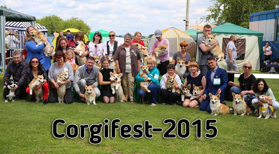 Corgifest 2015