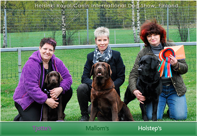 holsteps tjottes mallorns1