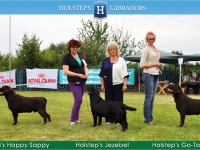 Dog Show/Выставки