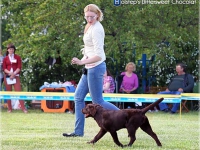 h_bittersweet_chocolat