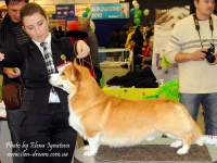 holsteps_push_button4