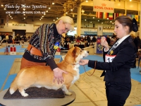 holsteps_push_button5