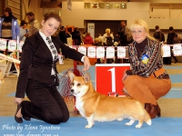 holsteps_push_button6