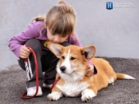 puppies_kuzya_zlatka10