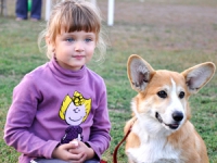 puppies_kuzya_zlatka12