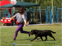 holsteps_happy_sappy_dnepr