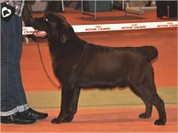 holsteps_happy_sappy_donetsk