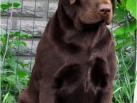 holsteps_its_uptoyou_14_1