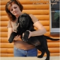 puppies_lola_achilles4