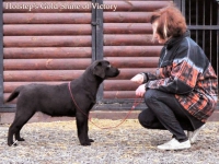 holsteps_goldshine_ofvictory