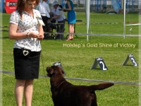 holsteps_goldshine_ofvictory11