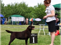 holsteps_goldshine_ofvictory9