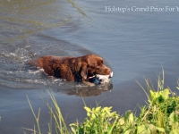 holsteps_grandprize_foryou