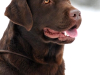 holsteps_grandprize_foryou1