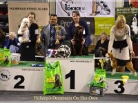 holsteps_oceanrainonherown_feb